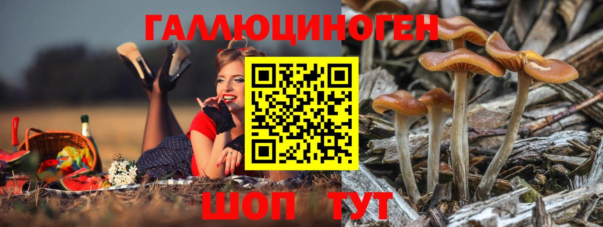 Псилоцибиновые грибы MAGIC MUSHROOMS Кушва